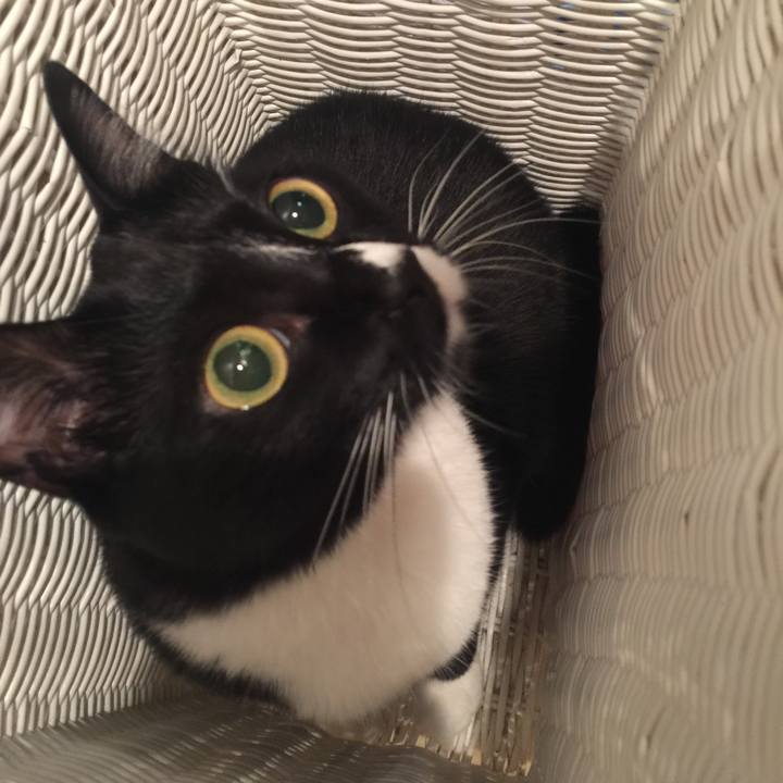 5ae9fe9c 3f9c 4a13 8e65 4f00ea8abb63