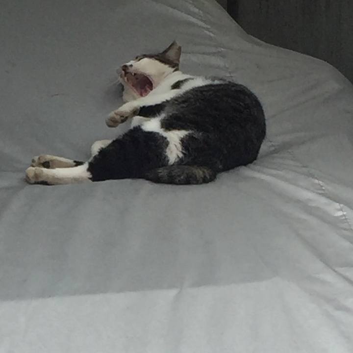 5aea5997 82fb 4c00 94c4 33a11bb9910a