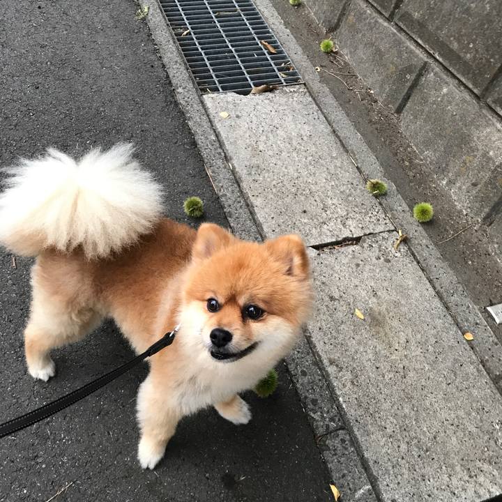 5aea606a 7c68 4daf ac65 d54a0592da07