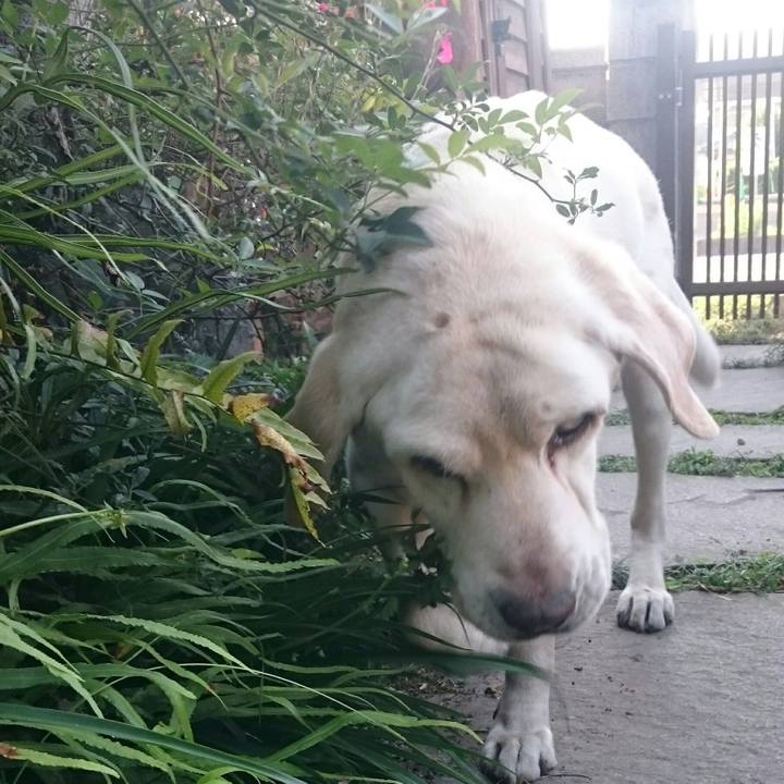 5aea68c5 6d29 4a08 bb0d 472a509a12df