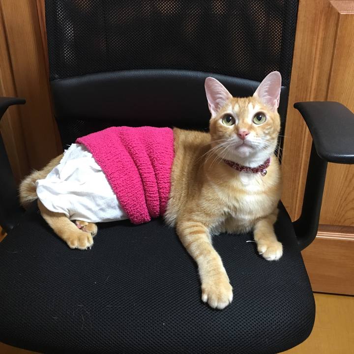 5aeb57f5 c9fd 45d8 80cf 02ad194cd69a