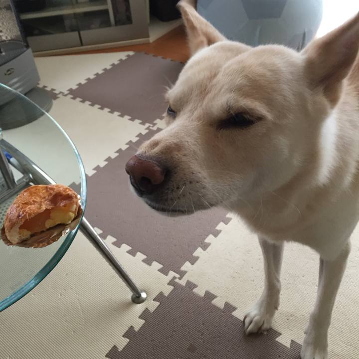 5aeba868 be33 4b57 ba32 c43692da4d50