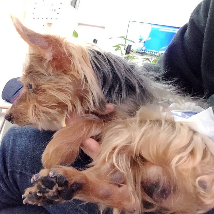 5aebb496 684c 4ade a7ce 6f819a47dd5f