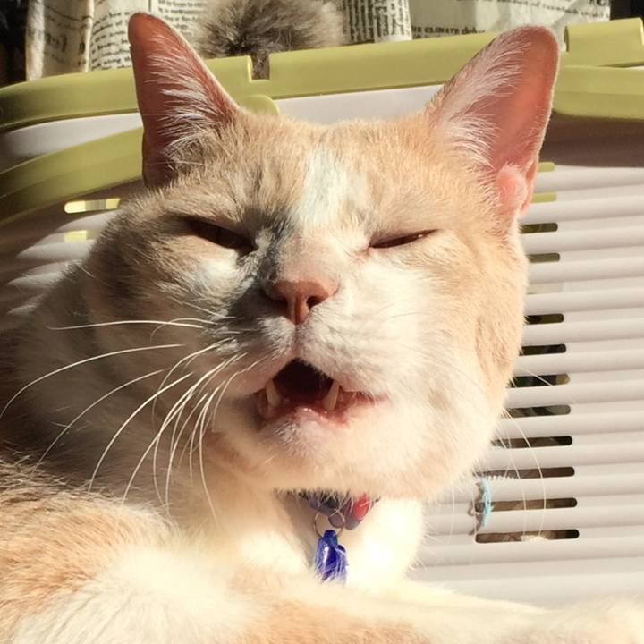 5aec13fb 4f90 4458 8844 13071defc855