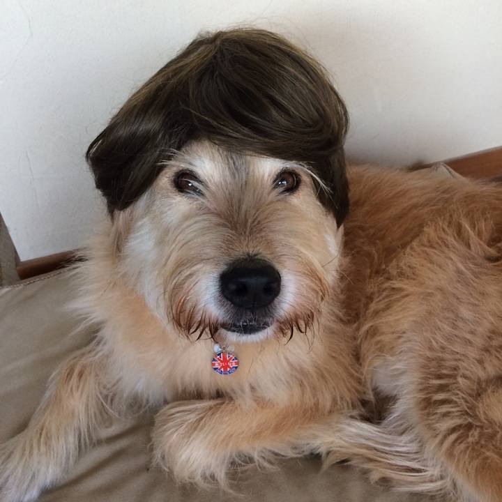 5aeddcf9 ad2d 4713 992d c8b93d008edd