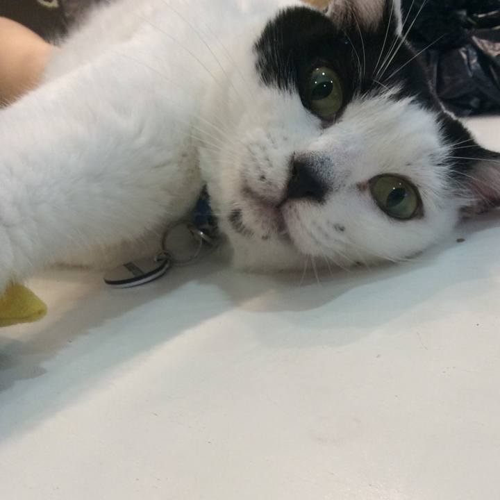 5aedf982 87f4 4adb 8d9b 4e3ffb449810