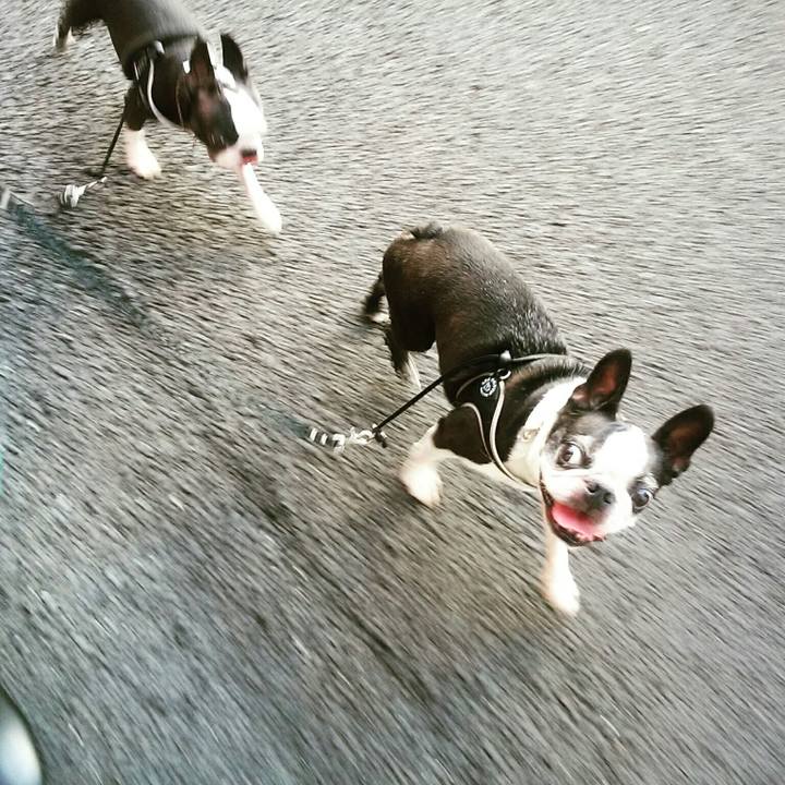 5aee2b7f c523 4bc9 8b43 88b3b28c1ff4