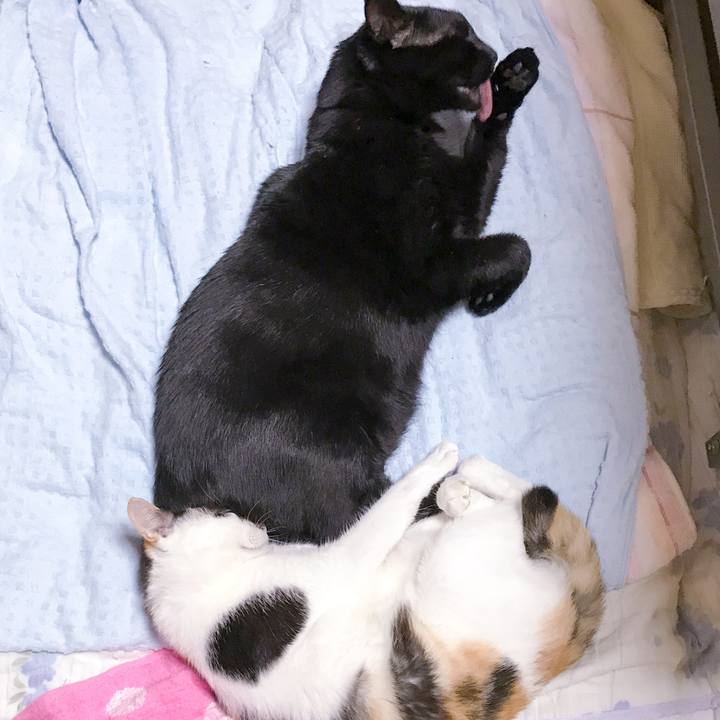 5aee4a96 583e 494b 988b a394520aa34e