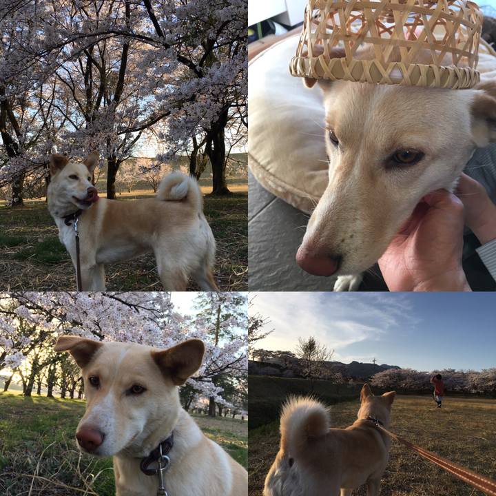 5aee77a2 c1e0 451c 9ef5 84a23ce41378