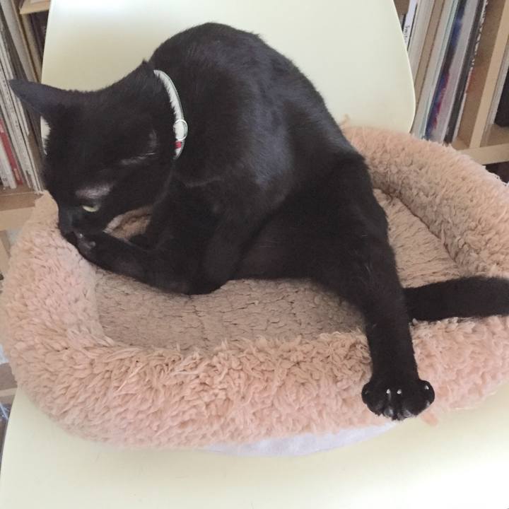 5aef1b1e e602 4eba a82b 90bc35e4c4df