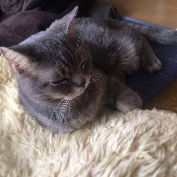 5aef4fb4 4659 4fa8 89ff 80797166e204