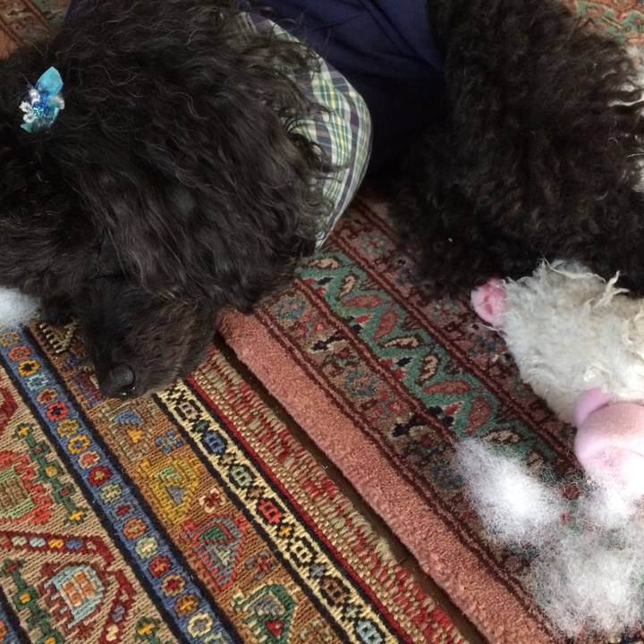 5af0c56d c545 4548 a760 d6efd9b22888