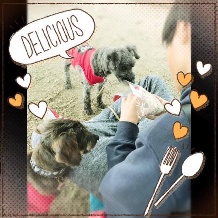 5af0e065 4c65 42c6 b05f 3c6a7345ba75