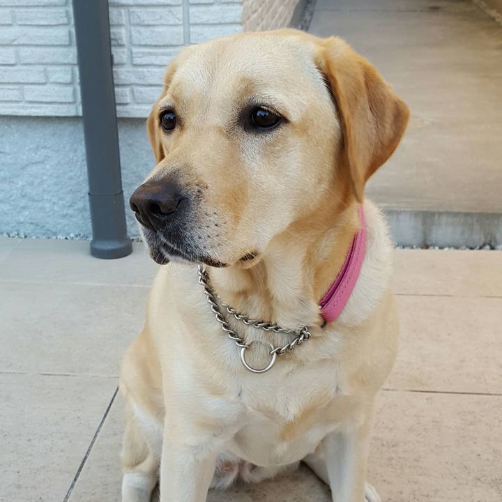 5af0e87d 3db0 4c30 a1d6 9ef3fcbad55d