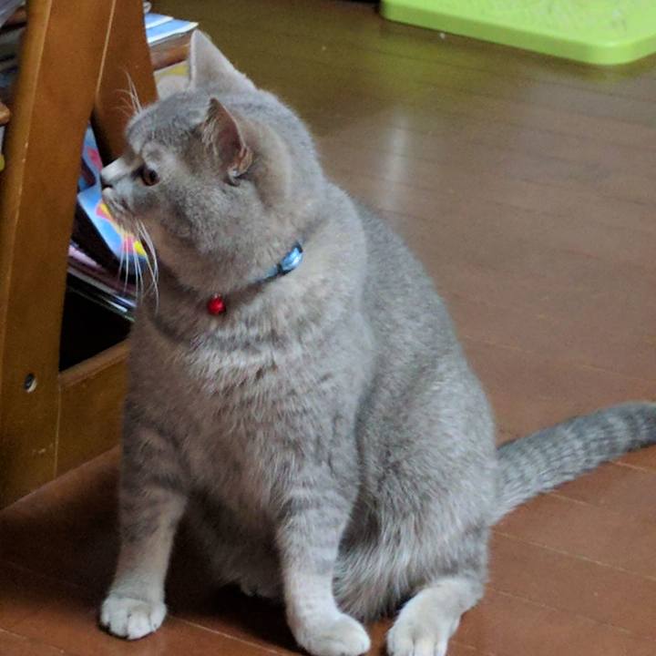 5af16e20 82e5 4638 8618 6171cdd63d63