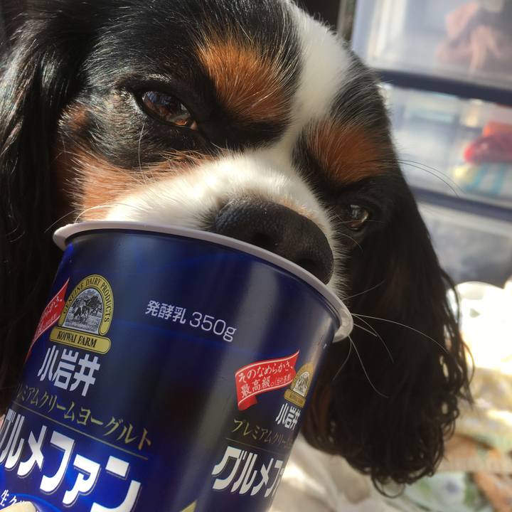 5af17649 6aa1 47b2 8b09 8246b39a8fcb