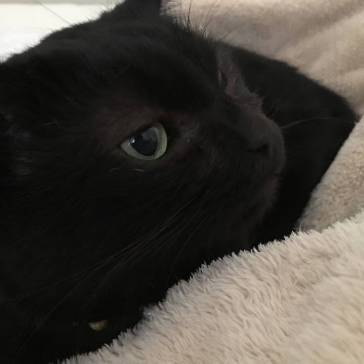 5af17e9b a4ff 4a8c 8706 add9b9dea444