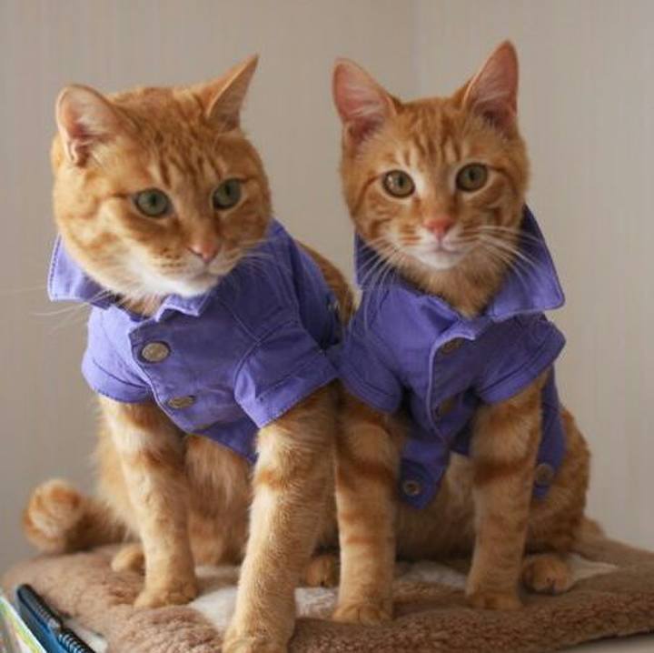 5af210e5 9bc3 4b54 8ddc dc741ec3e705