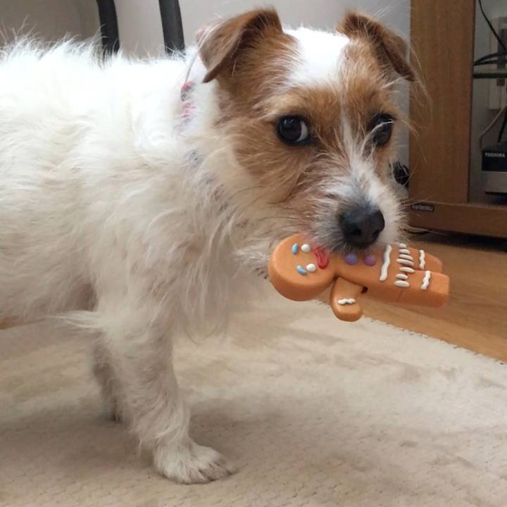 5af21273 3a26 4ee2 abe0 1f06e1b68d6e