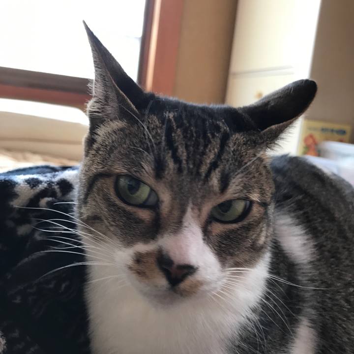 5af27a8e 7959 4dbe a17b 72819c390b33