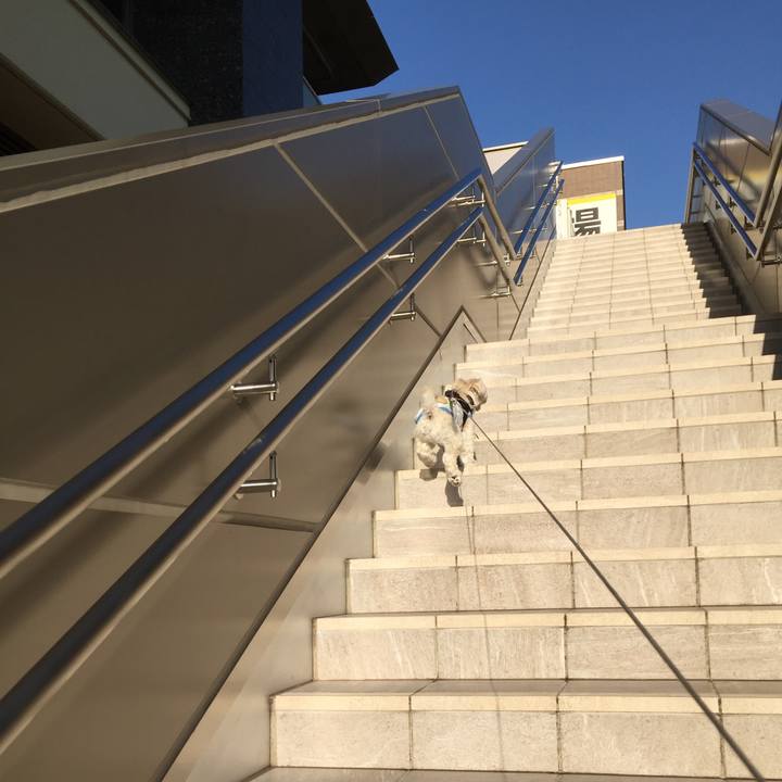 5af2c644 8102 4666 912b fe7852f591e1