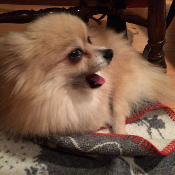 5af5245b 56bc 4168 8732 575bdaabcfda