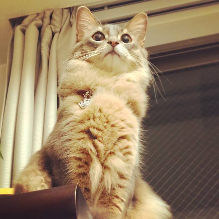 5af53dc5 e643 483c 8705 287eeab171d9