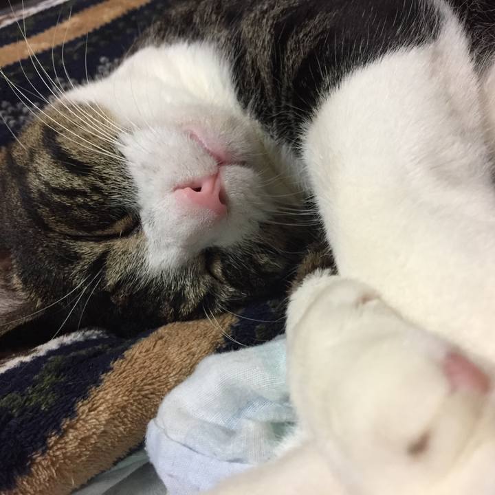 5af5b4b8 33b0 4055 9059 7691cb069beb