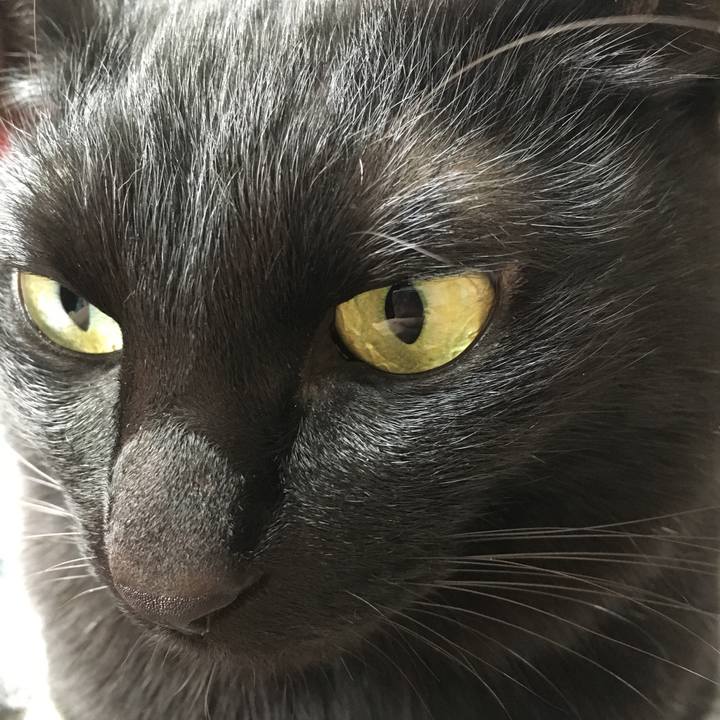 5af63175 bdfb 4cab b15a fd869bc97091