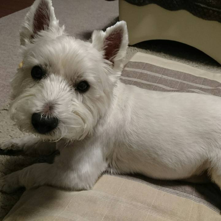 5af7d4d0 a9a8 4267 8cf9 720e8818e02b