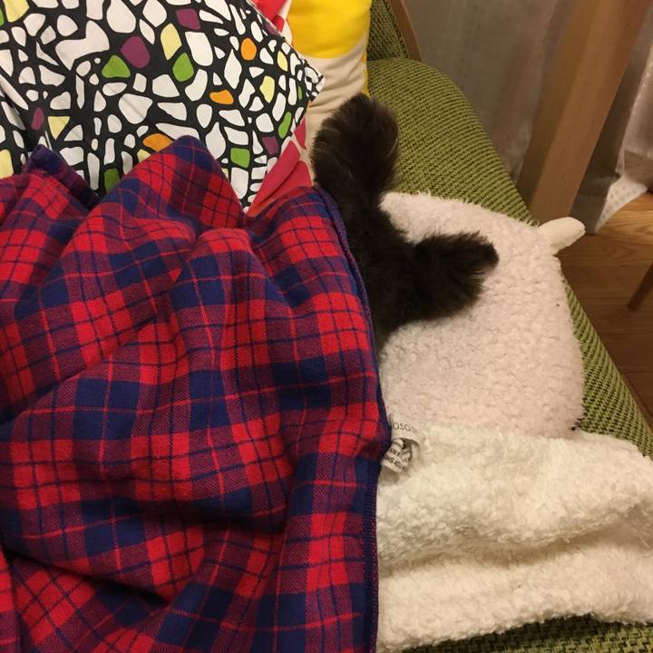 5af8a0ab 7483 472e 8421 e8294e181771