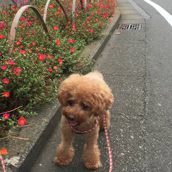 5af8bd4f 4e54 414e a75a 61ae394f276c