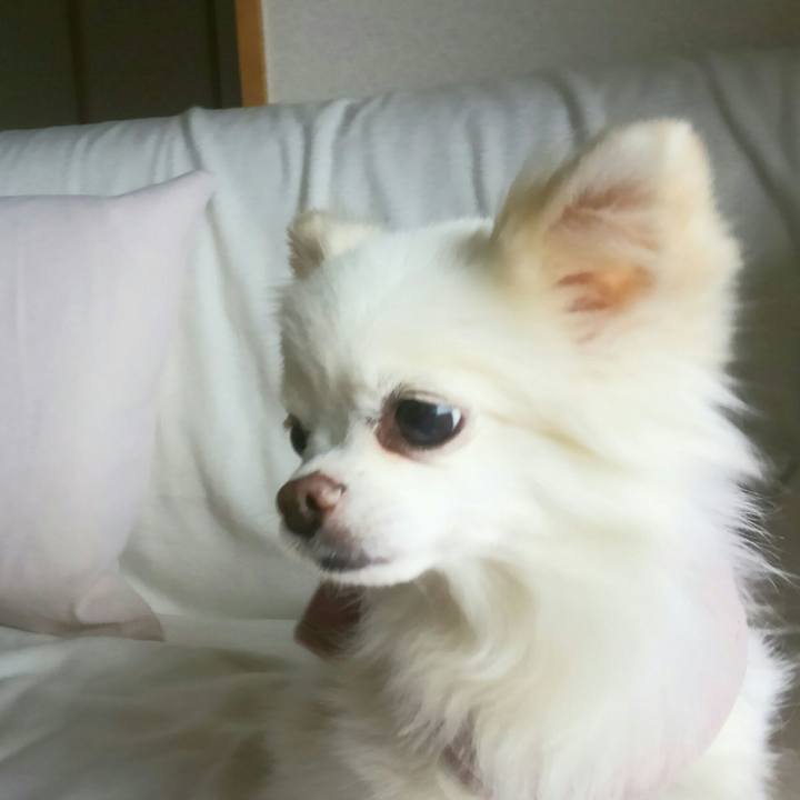 5af93cd8 d614 4c6a a130 595a599bc13f