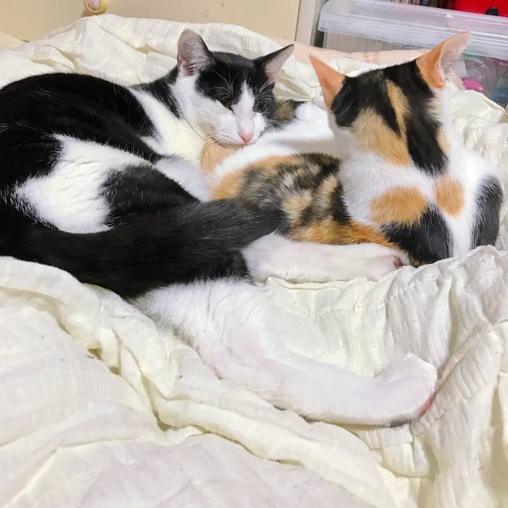 5af956d5 93b9 4703 bfb2 69b287f5affc