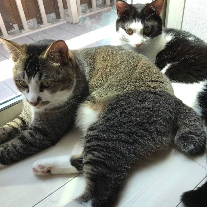 5af98f41 7ae6 4862 a10e 460439e9cb24