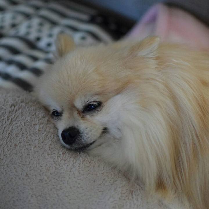 5af9fa89 8302 405c 9a1c c09a286ff6d7