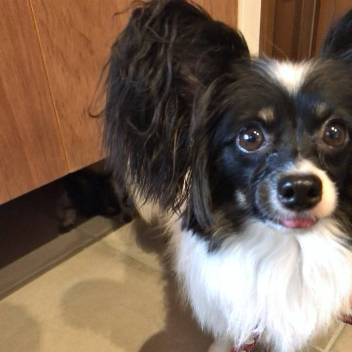 5afa2bd7 df2c 49f2 95f4 21da6691a0a2