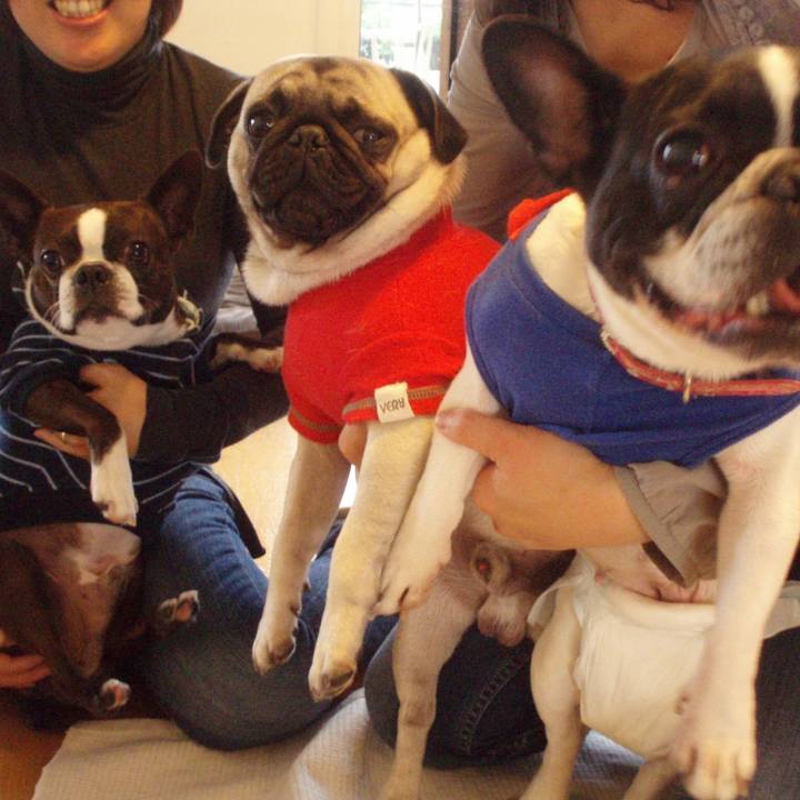 5afa34f7 c2f6 4d37 b4f6 6e54ba5030d8