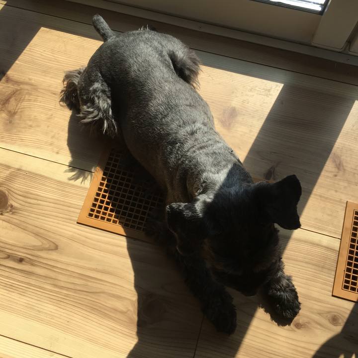 5afa799d 3030 41ad a271 865d24f74c2f