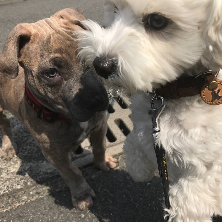 5afad7f9 5ed1 4f3b b4f4 8014df5441ac