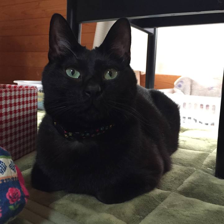 5afaeb81 cbbb 4692 845f 6367f6f018b8