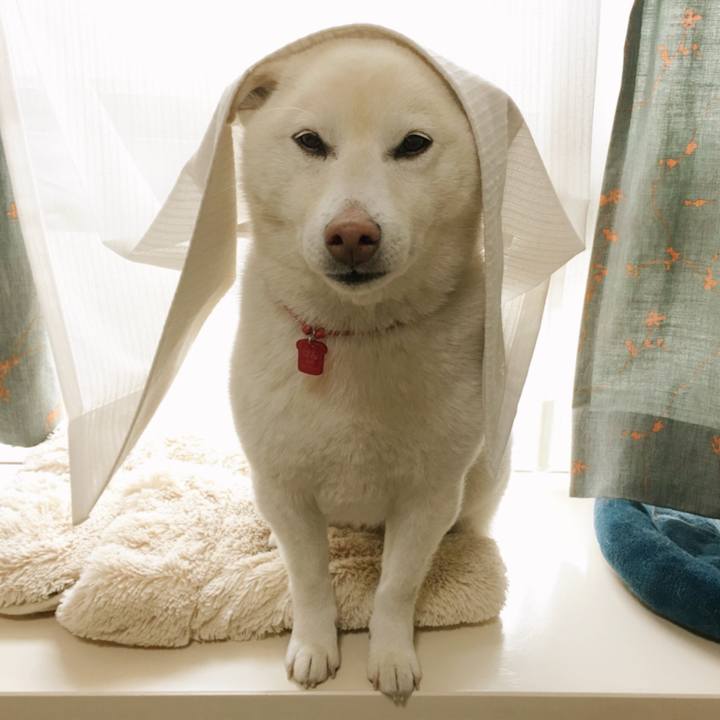 5afb0326 6cc5 45fd 9b62 9b6da3bbabc0