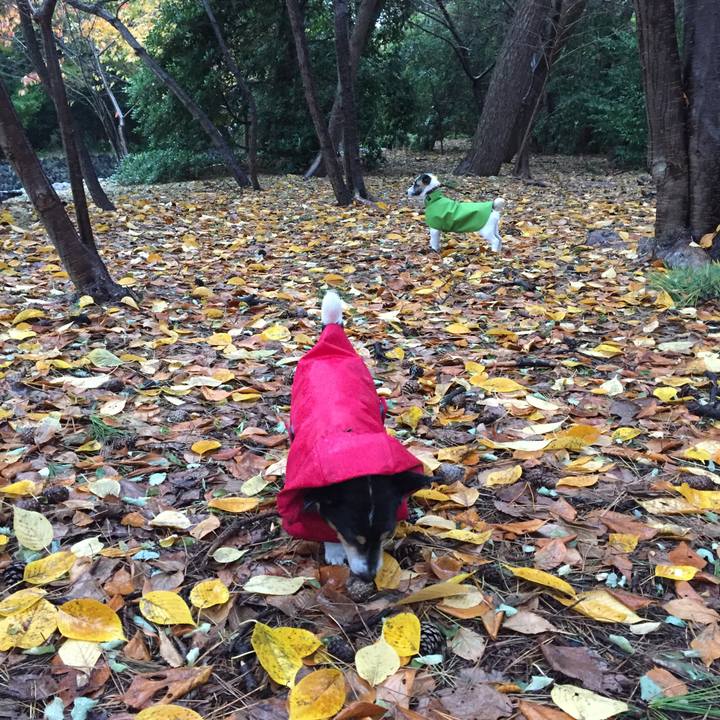 5afb1cdc 8c70 434d a67e b9269a3bd29d