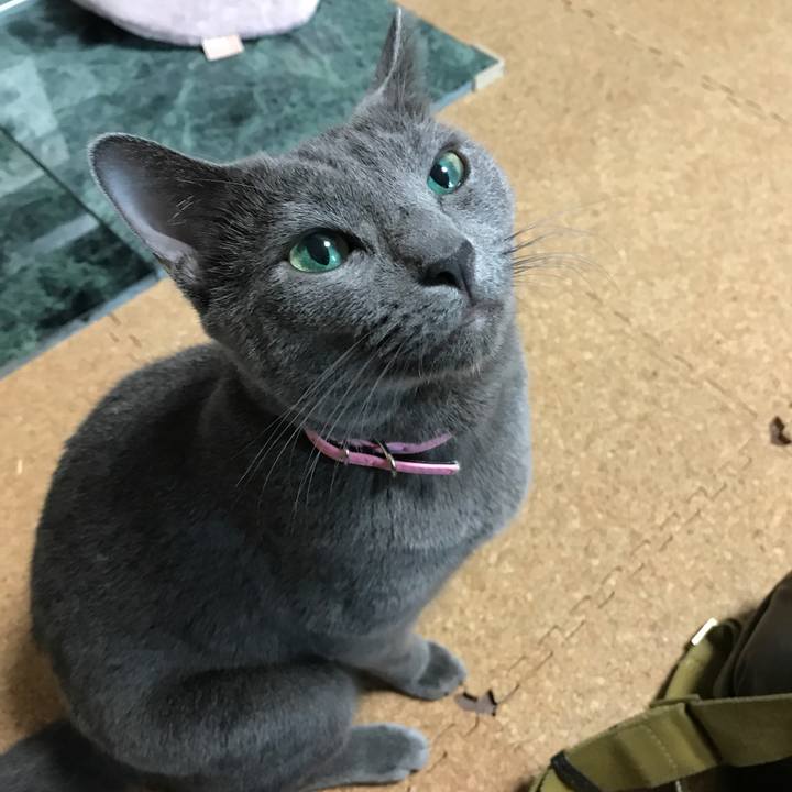 5afb4cd5 dd29 4881 925a 47a63b6321e0