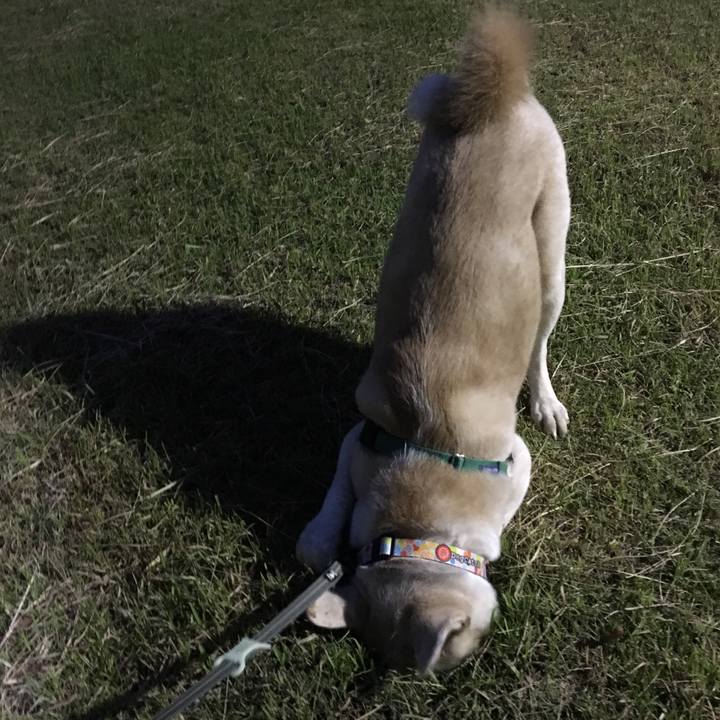 5afc7f05 c065 49a4 a582 ef68d14d5146