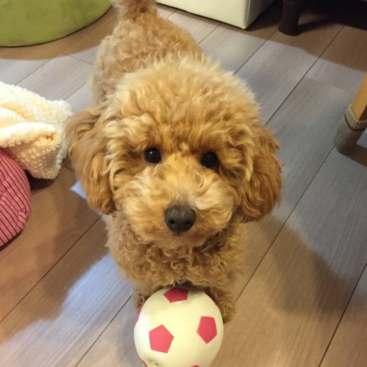 5afd37d1 918d 4f60 a0b6 11915c2ea25e