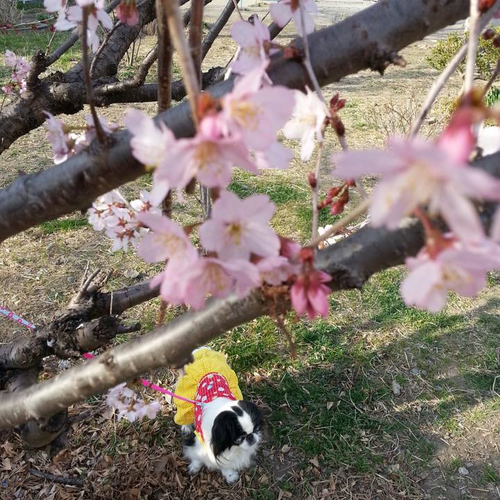 5afd9423 d4a0 4b94 92bc d05a3f9bb91a