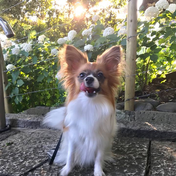 5afe0013 9c36 449a 8ae5 73e6efeb3bb2