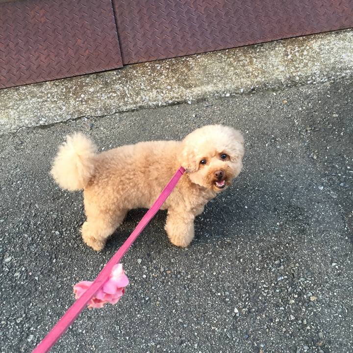 5afed37c 0ed5 4de1 ab7a bbc037fbca0a