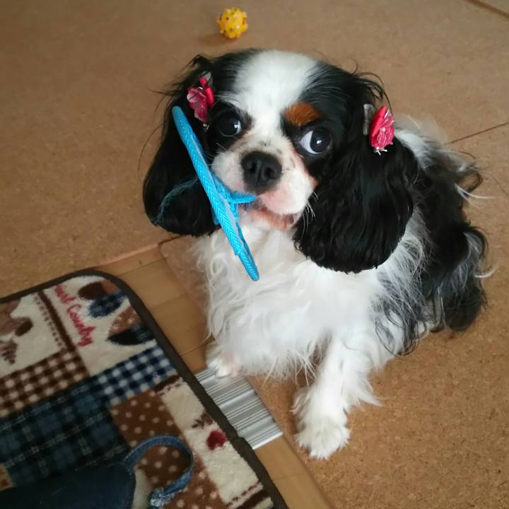 5b0060e3 e4cb 4a93 aa07 5675375e10a8